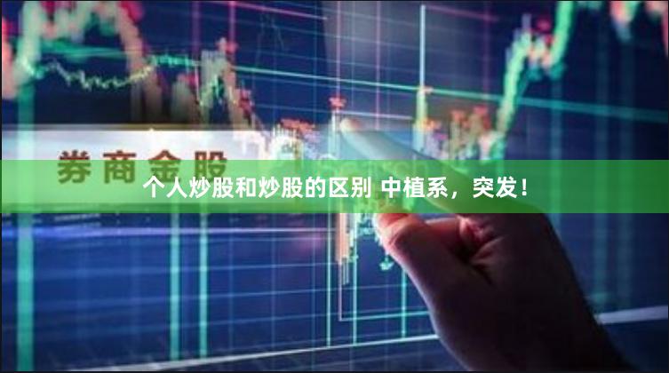 个人炒股和炒股的区别 中植系，突发！