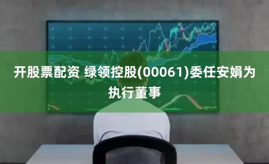 开股票配资 绿领控股(00061)委任安娟为执行董事
