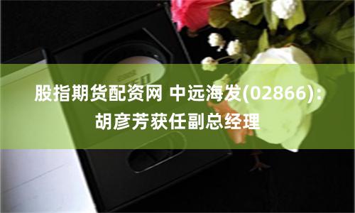 股指期货配资网 中远海发(02866)：胡彦芳获任副总经理