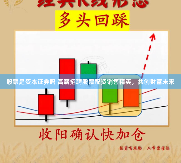 股票是资本证券吗 高薪招聘股票配资销售精英，共创财富未来