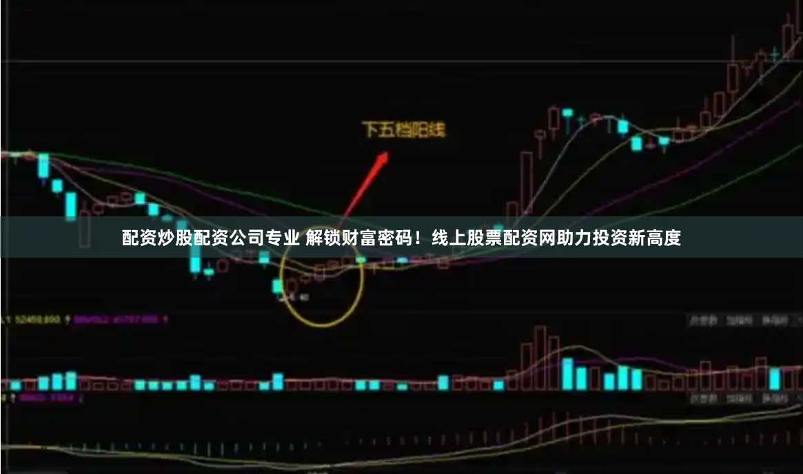 配资炒股配资公司专业 解锁财富密码！线上股票配资网助力投资新高度