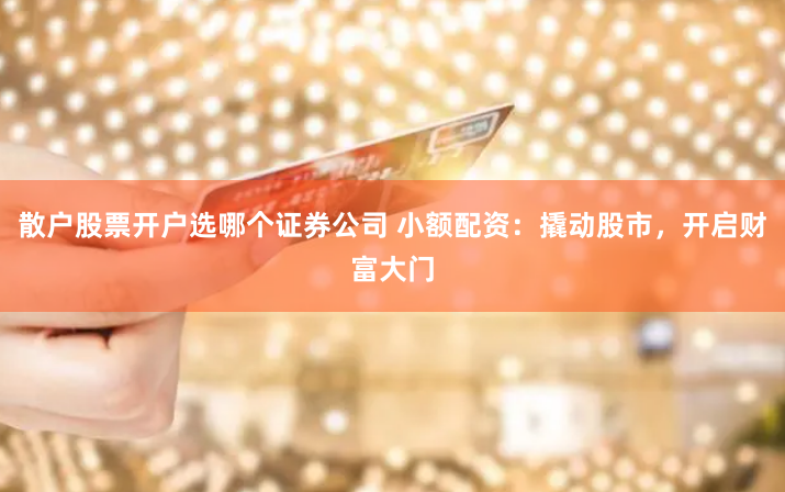 散户股票开户选哪个证券公司 小额配资：撬动股市，开启财富大门