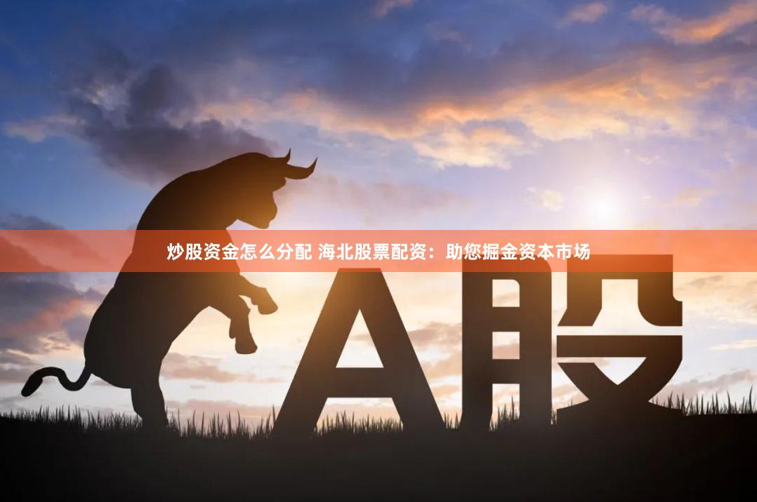 炒股资金怎么分配 海北股票配资：助您掘金资本市场