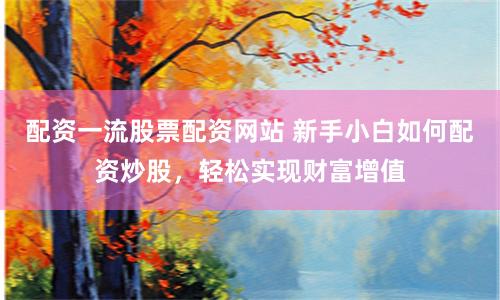 配资一流股票配资网站 新手小白如何配资炒股,轻松实现财富增值